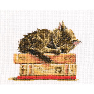 RTO counted Cross Stitch Kit "Cats dream" M642,...