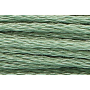 Anchor мулине 8m, зелёный шалфей, Хлопок,  цвет 215,...