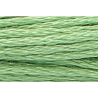 Anchor Torsade 8m, vert tendre, coton, couleur 241, 6 fils