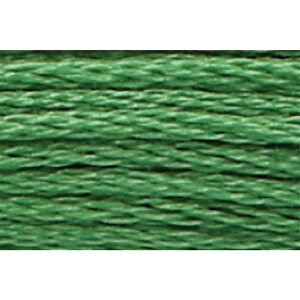 Anchor Sticktwist 8m, verde felce, cotone, colore 244, 6 fili