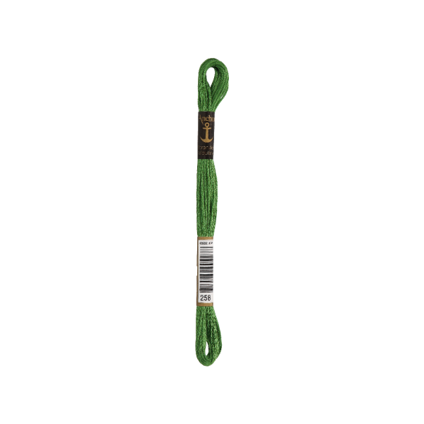 Anchor Sticktwist 8m, verde betulla, cotone, colore 258, 6 fili