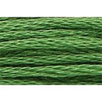 Anchor мулине 8m, берёзовая зелень, Хлопок,  цвет 258, 6-ниточный
