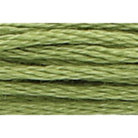 Anchor Torsione per ricamo 8m, verde oliva, cotone, colore 266, 6 fili