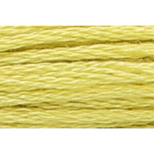 Anchor Sticktwist 8m, giallo-verde chiaro, cotone, colore 278, 6 fili