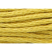 Anchor Torsade 8m, jaune-vert, coton, couleur 279, 6 fils