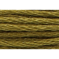 Anchor Torsione per ricamo 8m, oliva, cotone, colore 281, 6 fili