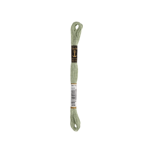Anchor Torsade de broderie 8m, gris-vert, coton, couleur 858, 6 fils