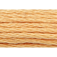 Anchor Bordado twist 8m, ocre claro, algodón, color 891, 6-hilo