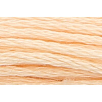 Anchor Bordado twist 8m, piel mediana, algodón, color 1010, 6-hilos