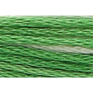 Anchor Embroidery thread Mouline Color 1215, 6 stranded, 8m