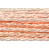 Anchor Embroidery thread Mouline Multi Color 1318, 6 stranded, 8m