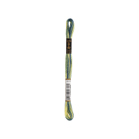 Anchor Sticktwist Multi 8m, flusso di montaggio verde, cotone, colore 1355, 6 fili