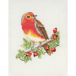 Anchor counted Cross Stitch kit "Red Robin", DIY