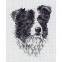Anchor counted Cross Stitch kit "Border Collie", DIY