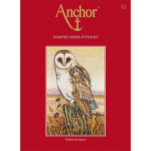 Anchor counted Cross Stitch kit "Owl Horizon", DIY