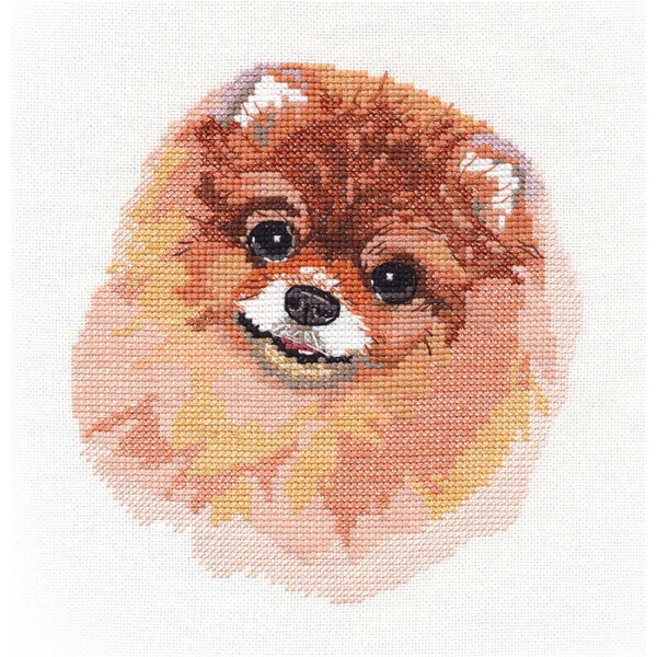 Oven counted cross stitch kit "Spitz", 14x16cm, DIY