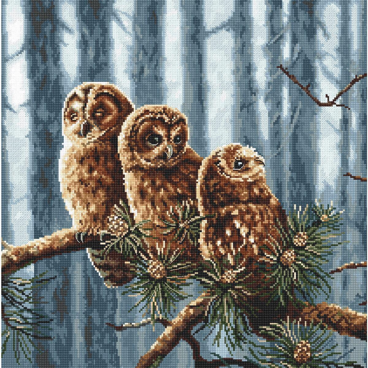 Three fluffy brown owls with large eyes sit close...
