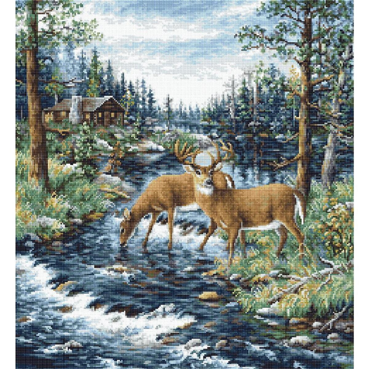 Eine ruhige Waldszene zeigt zwei Hirsche, die aus einem...