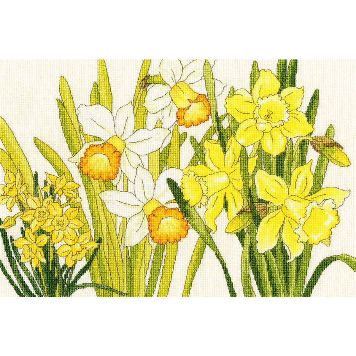 Bothy Threads counted cross stitch Kit "Daffodil...