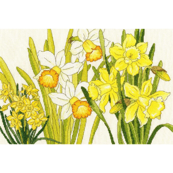 Bothy Threads kruissteekset "Narcisbloemen", 36x24cm, xbd10, telpatroon