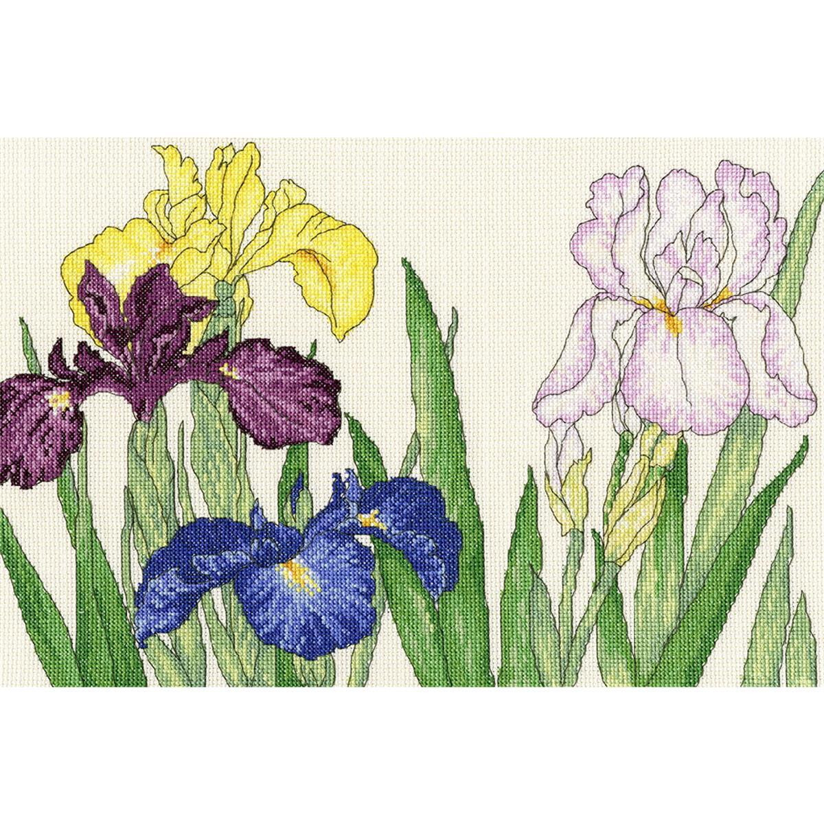 A colorful embroidery pack with different iris flowers...
