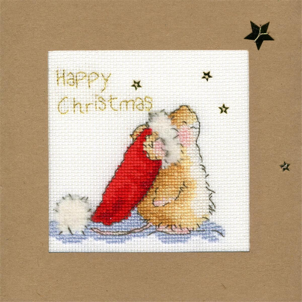 Bothy Threads Greating card counted cross stitch Kit "Star Gazing", 10x10cm, XMAS20