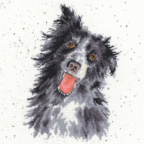 Bothy Threads counted cross stitch Kit "Collie", 26x26cm, XHD10