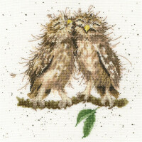 Bothy Threads counted cross stitch Kit "Birds Of A Feather", 26x26cm, XHD36