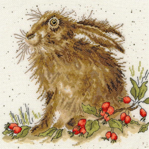 Bothy Threads counted cross stitch Kit "Hippy Hare", 26x26cm, XHD38
