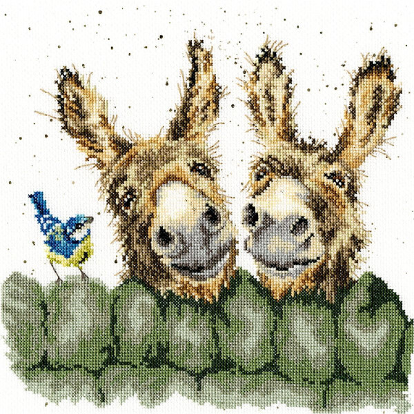 Bothy Threads counted cross stitch Kit "Hee Haw", 26x26cm, XHD70