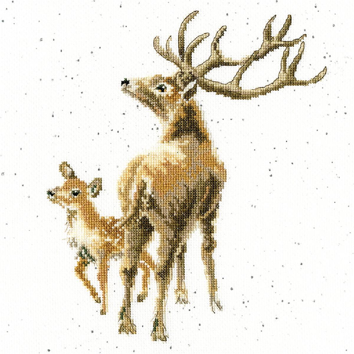 Bothy Threads counted cross stitch Kit "Wild At...