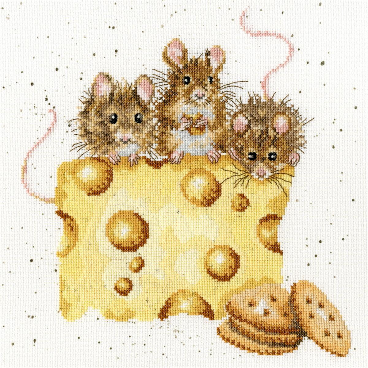 Three small, fluffy mice sit on a large piece of Swiss...