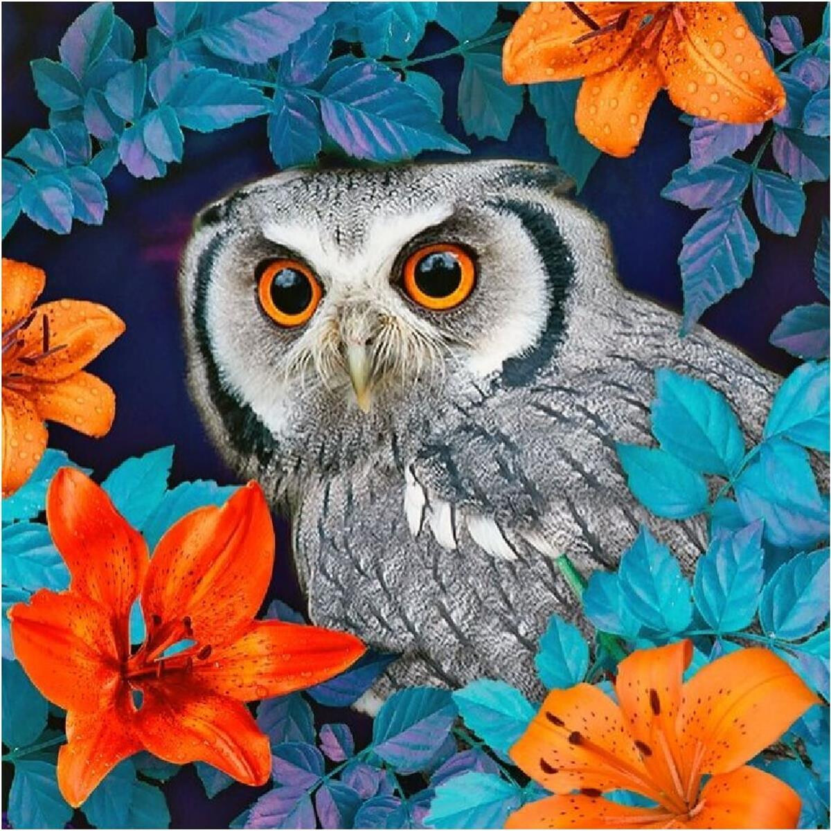 CdA diamond mosaic kit "Owl and lilies",...