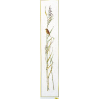 Eva Rosenstand set punto croce "Reed Warbler", schema di conteggio, 25x136cm