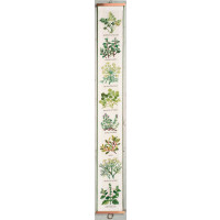 Eva Rosenstand kruissteekset "Kruidenplantje", telpatroon, 16x130cm