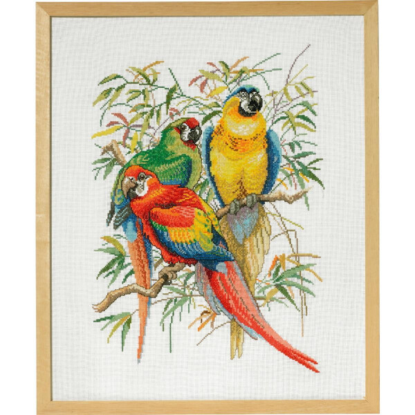 Eva Rosenstand Juego de punto de cruz "Parrots i", dibujo para contar, 44x54cm