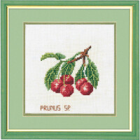 Eva Rosenstand counted cross stitch kit "Cherries", 20x20cm, DIY