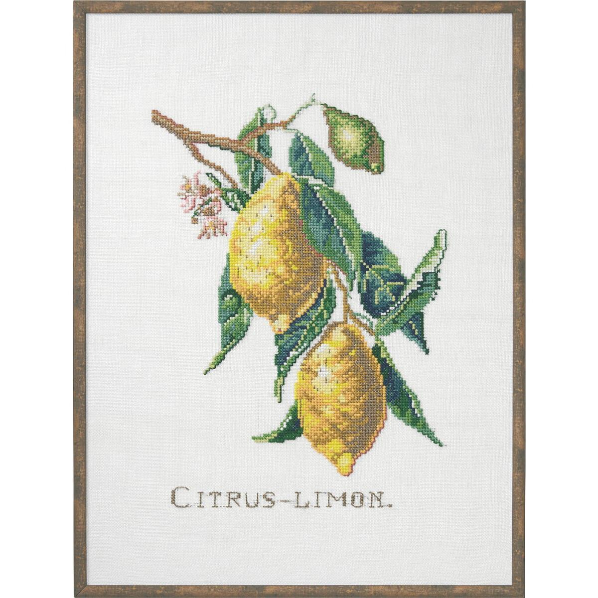 Eva Rosenstand Kreuzstich Set "Citrus-Lemon",...