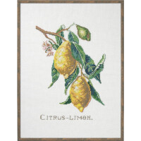 Eva Rosenstand counted cross stitch kit "Citrus-Lemon", 29x39cm, DIY