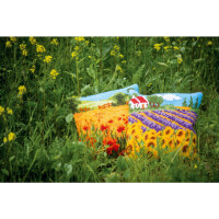 Vervaco stamped cross stitch kit cushion "Mohnblumen Landschaft", 40x40cm, DIY