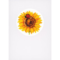 Vervaco Biglietti dauguri Set punto croce "Summer Flowers 3pcs" Set di 3, schemi di conteggio, 10,5x15cm