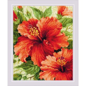 Riolis Kruissteekset "Hibiscus", telpatroon, 40x50cm