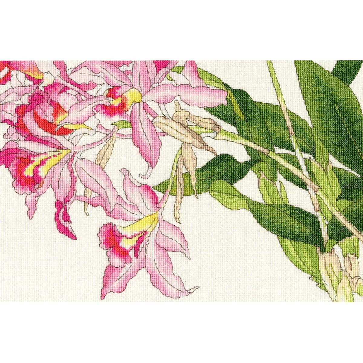 Ilustración de orquídeas rosas con bordes...