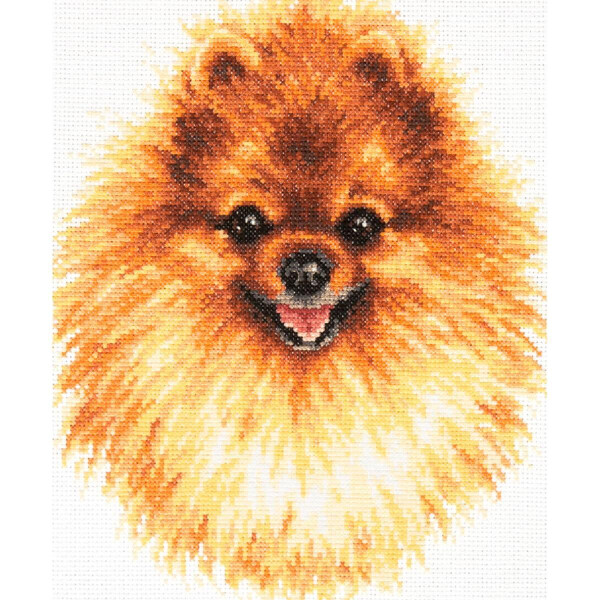Magic Needle Zweigart Edition counted cross stitch kit "Pomeranian", 22x25cm, DIY