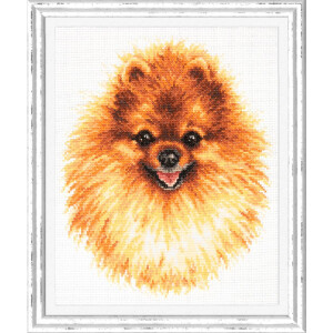 Magic Needle Zweigart Edition counted cross stitch kit "Pomeranian", 22x25cm, DIY