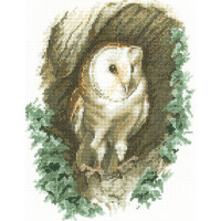 Heritage counted cross stitch kit Aida "Barn Owl (A)", JSBO402-A, 20,5x25,5cm, DIY