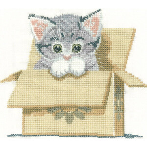 Heritage counted cross stitch kit Aida "Cat In Box...