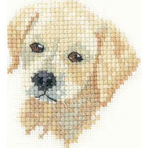 Heritage counted cross stitch kit Aida "Golden...