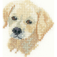 Heritage counted cross stitch kit Aida "Golden Labrador Puppy (A)", LFGL1037-A, 6,5x5,5cm, DIY