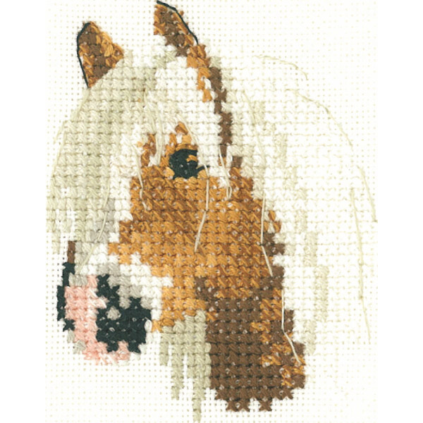 Heritage counted cross stitch kit Aida "Palomino Pony (A)", LFPP1072-A, 5,5x7cm, DIY